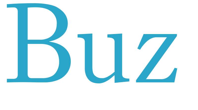 Buz - boys name