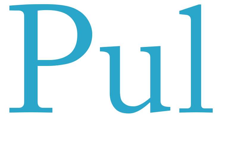 Pul - boys name