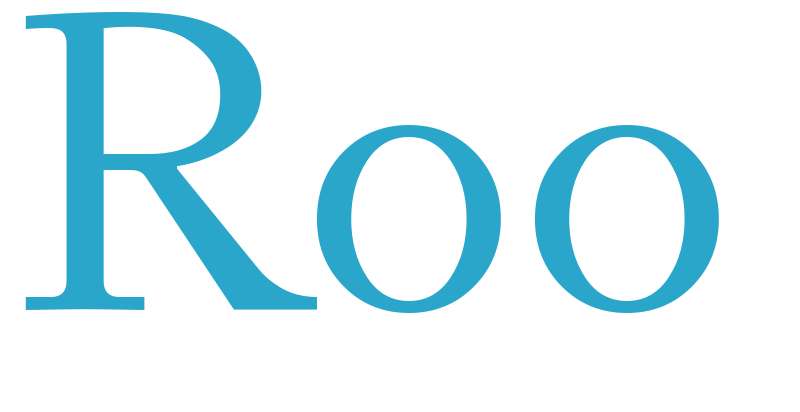 Roo - boys name