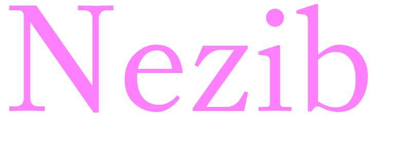 Nezib - girls name