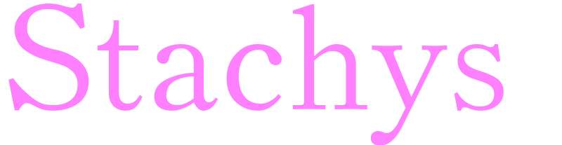 Stachys - girls name