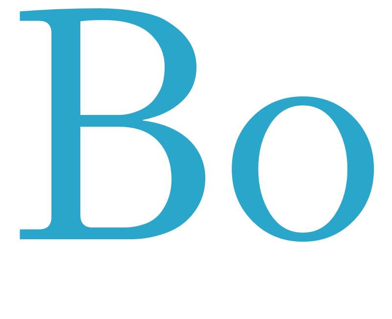 Bo - boys name