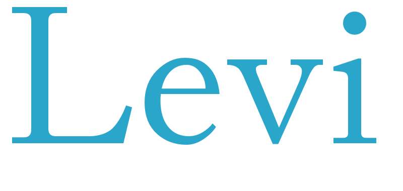 Levi - boys name