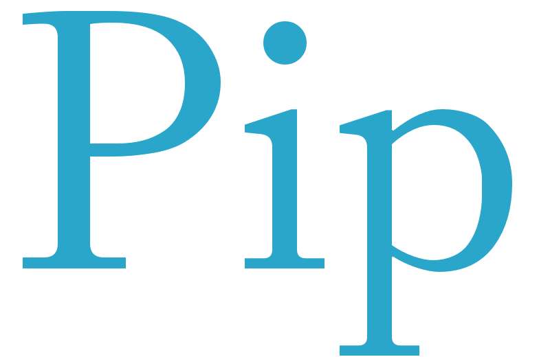 Pip - boys name