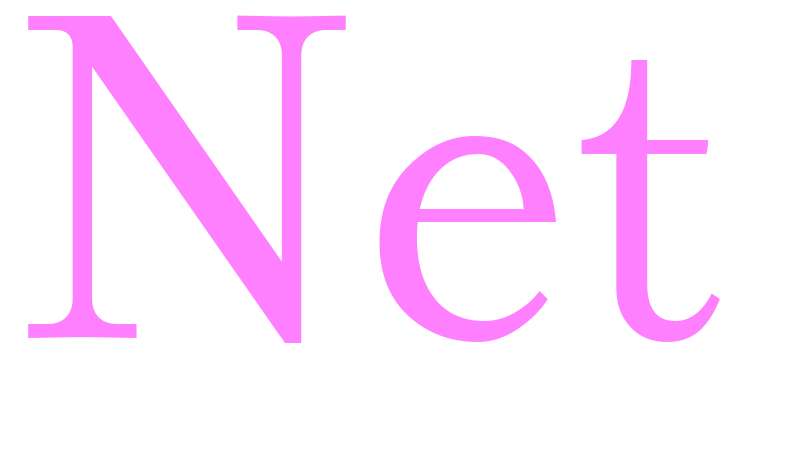 Net - girls name