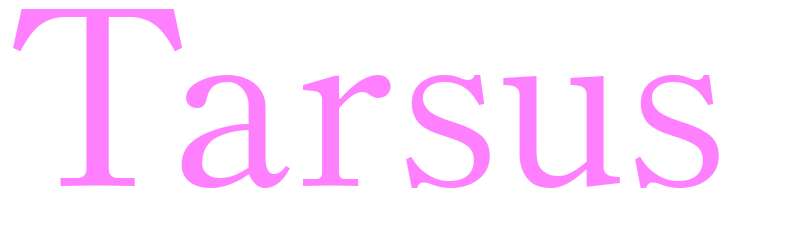 Tarsus - girls name